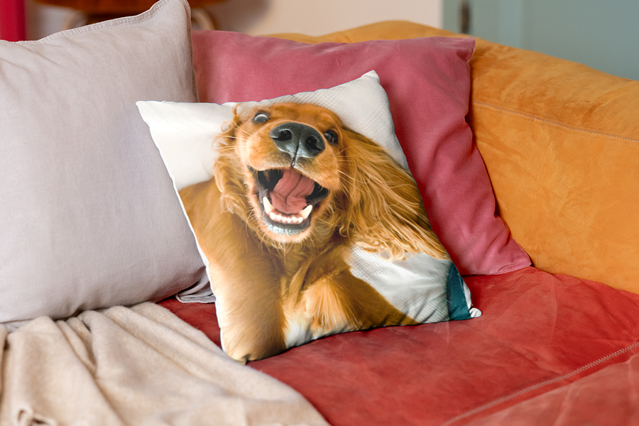 A personalised cushion featuring a photo of a smiling dog, offering inspiration for unique personalised Easter gifts and photo gifts for Easter from Photobox.