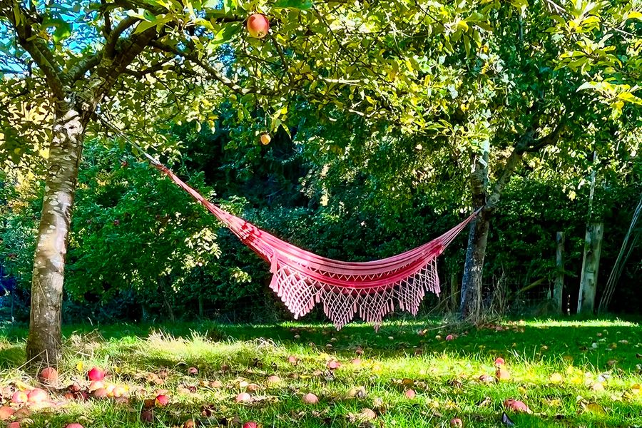 A hammock hangs from an apple tree in a garden, representing Photobox's relaxing staycation ideas.