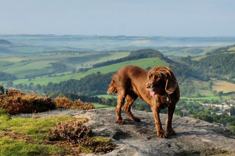 Expansive moorlands and charming stone villages at Peak District National Park in the UK, home to some of the most beautiful parks in Europe featured in Photobox's guide.