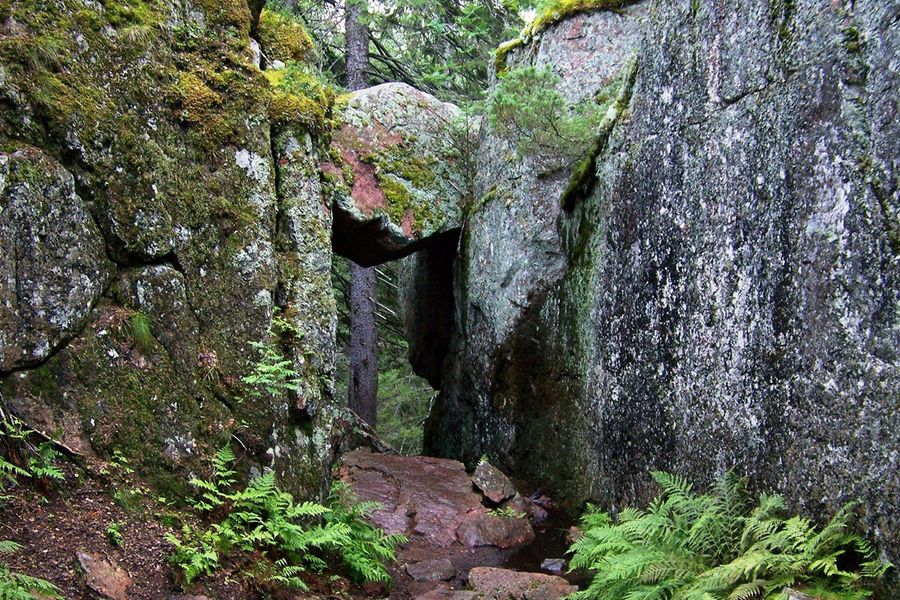 Dense spruce forests meet the rocky shores of the Baltic Sea at Skuleskogen National Park on Sweden's High Coast, one of the top national parks in Europe featured in Photobox's guide.