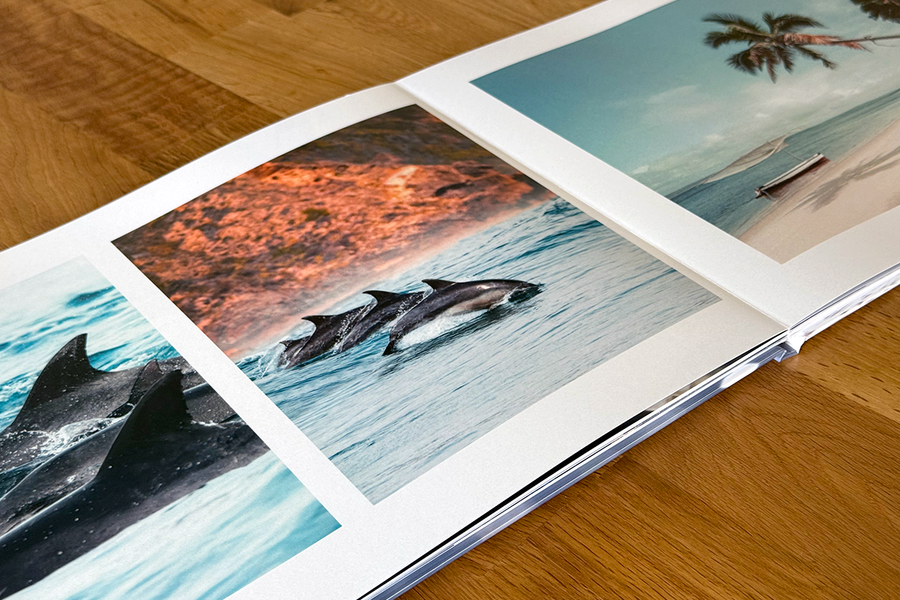 An open spread from Charl van Rooy's photo book shows tropical images, including dolphins swimming and a tropical beach scene, illustrating the visual storytelling within his photography portfolio.