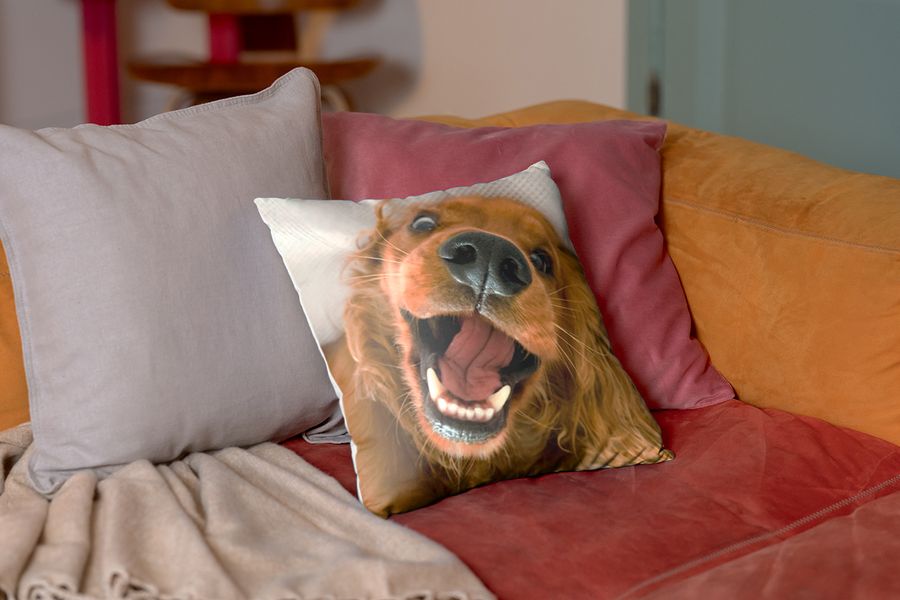 A personalised cushion featuring a photo of a dog sits on a red velvet sofa, illustrating how a Photobox cushion adds soft texture to a hygge home.