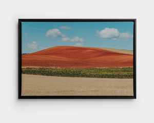 A framed canvas with a picture of a summery landscape