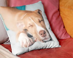 A personalised Photobox dog cushion, inspiring a quick 15 minute personalised gift and an easy photo gift idea.
