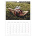 A3 photo calendars — Endless escape [May]