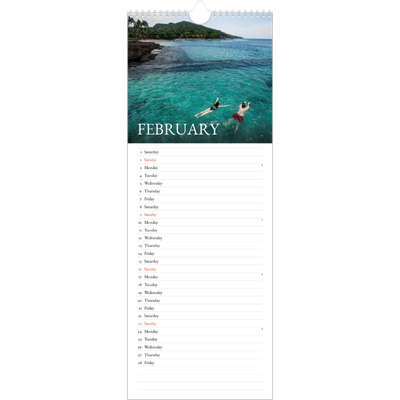 Slim Calendar  — Simple serif [February]