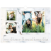 A3 Photo Calendar — Picture collection [April]