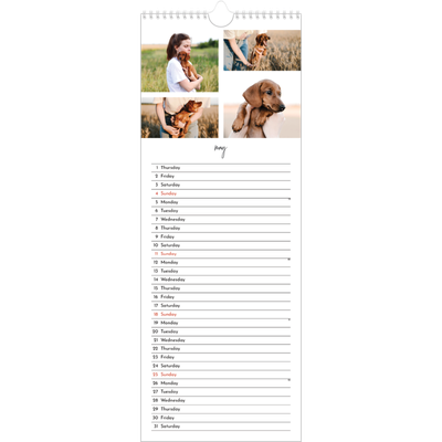 Slim Calendar  — Photo arrangements [cover]