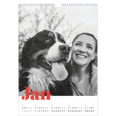 A3 photo calendars — A bold year [January]