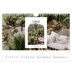 A4 Landscape Photo Calendar — The open arch [February]