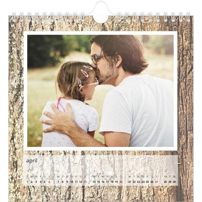 Square calendars  — Tree bark [April]