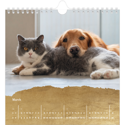 Square calendars  — Classic Gold [March]