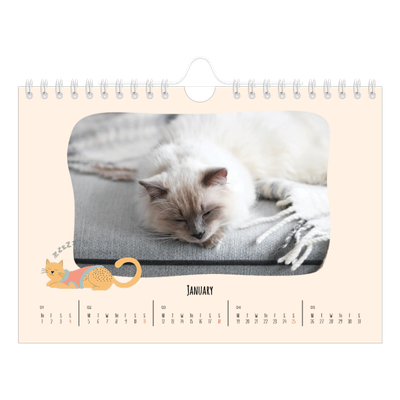 A5 Landscape Photo Calendar — Cat paws and doodles [January]