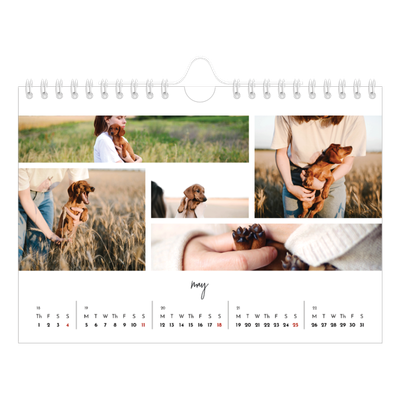 A5 Landscape Photo Calendar — Photo arrangements [cover]