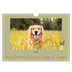 A4 Landscape Photo Calendar — Playful puppy [cover]