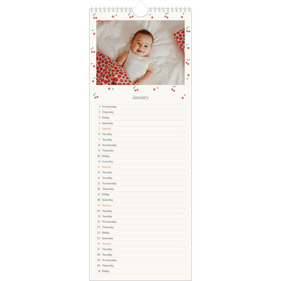 Slim Calendar  — Cherry bliss [January]