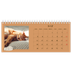 Desk calendars — Playful kitten [cover]