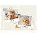A3 Photo Calendar — Playful kitten [cover]