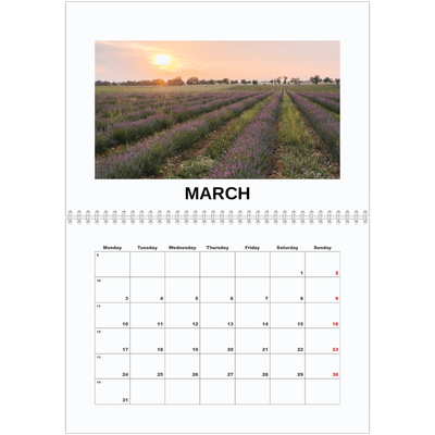 A4 Double Photo Calendar — Simple photo [March]