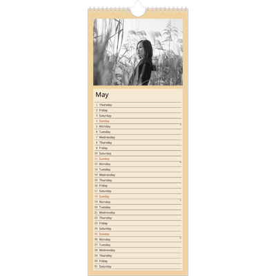 Slim Calendar  — Nordic colours [cover]