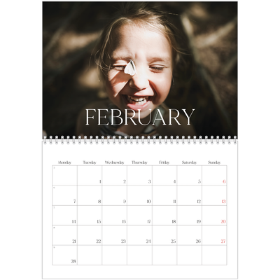 A4 Double Photo Calendar — Twelve big months [February]