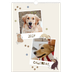 A3 photo calendars — Playful puppy [cover]