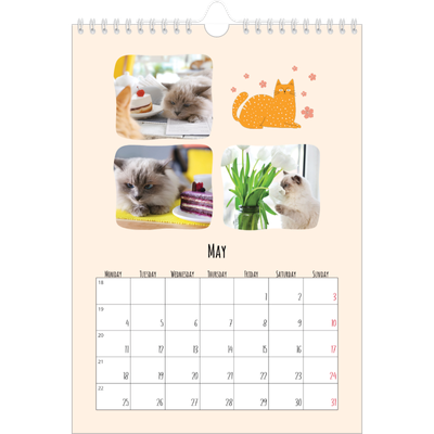 A4 Photo Calendar — Cat paws and doodles [cover]