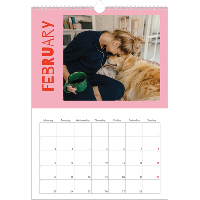 A3 photo calendars — Fun colourful you [February]