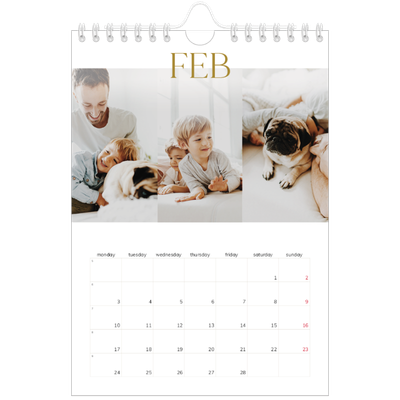 A5 Photo Calendar — Big gold text [February]