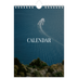 A5 Photo Calendar — Endless escape [cover]