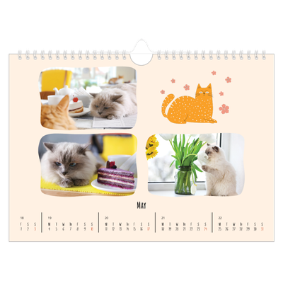 A4 Landscape Photo Calendar — Cat paws and doodles [cover]