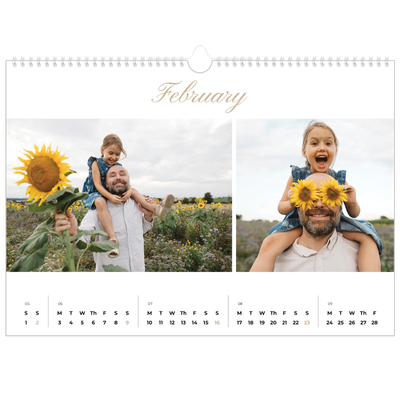 A3 Photo Calendar — Photo strip boxes [February]