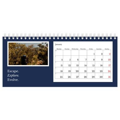 Desk calendars — Editorial Earth [January]