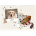 A3 Photo Calendar — Playful puppy [cover]