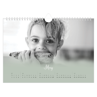 A4 Landscape Photo Calendar — Misty green [cover]