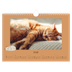 A4 Landscape Photo Calendar — Playful kitten [cover]