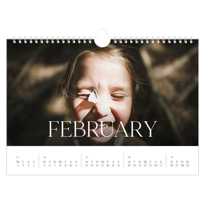 A4 Landscape Photo Calendar — Twelve big months [February]