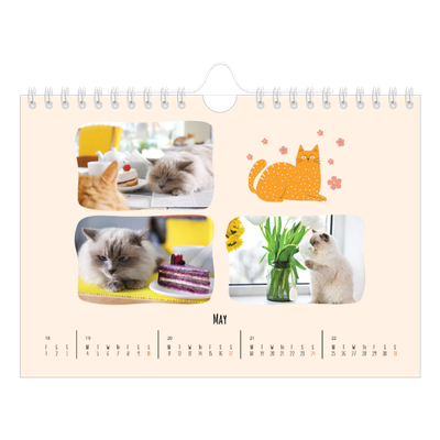A5 Landscape Photo Calendar — Cat paws and doodles [cover]