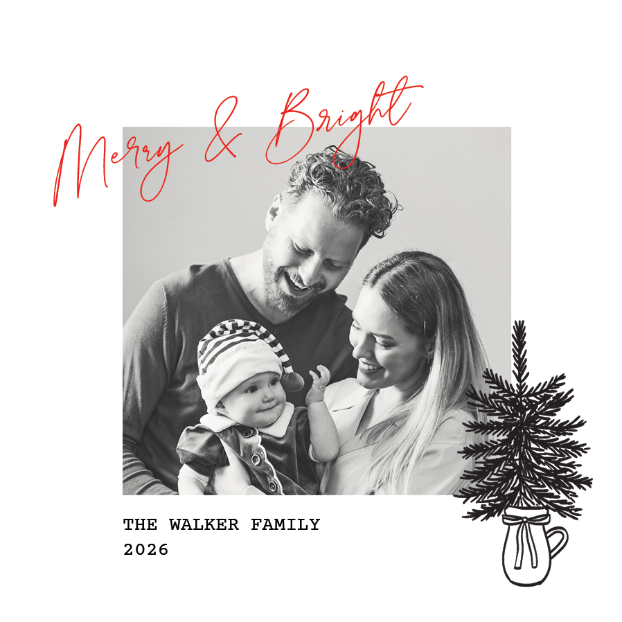 Cards — Pine on winter white