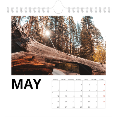 Square calendars  — White space [cover]