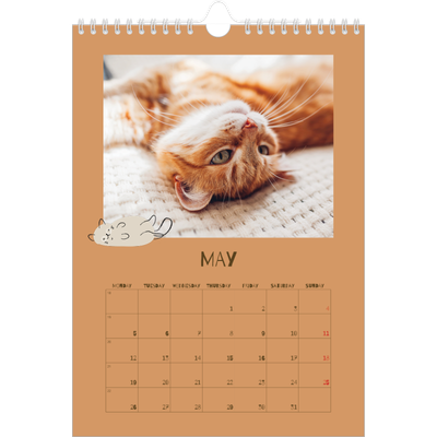 A4 Photo Calendar — Playful kitten [cover]