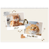 A4 Double Photo Calendar — Playful kitten [cover]