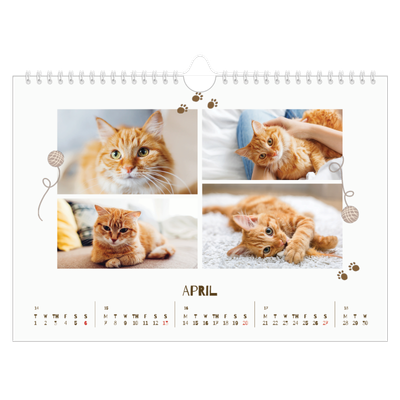 A4 Landscape Photo Calendar — Playful kitten [April]