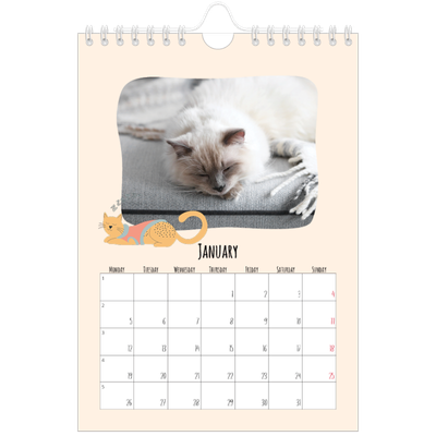 A5 Photo Calendar — Cat paws and doodles [January]