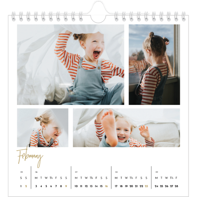 Square calendars  — Scribble text [February]