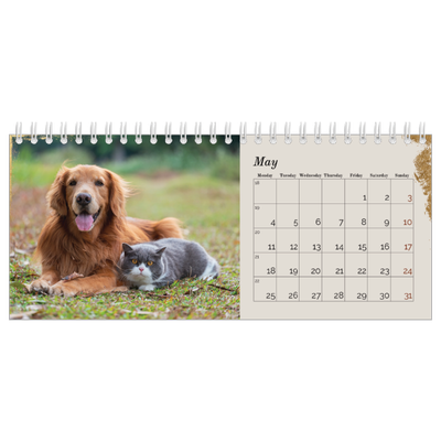 Desk calendars — Classic Gold [cover]