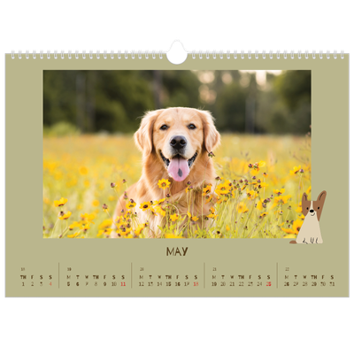 A3 Photo Calendar — Playful puppy [cover]