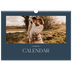 A3 Photo Calendar — Slate and serifs [cover]