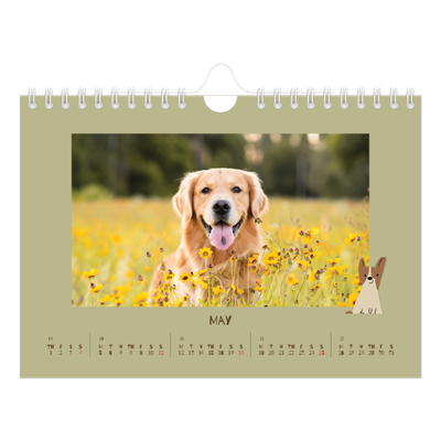 A5 Landscape Photo Calendar — Playful puppy [cover]