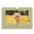 A5 Landscape Photo Calendar — Playful puppy [cover]
